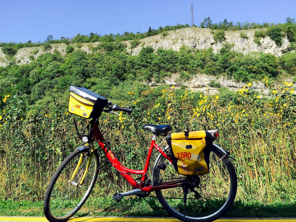 Bike used on the bike tour