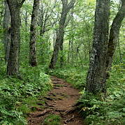 Nova Scotia’s South Shore Photo