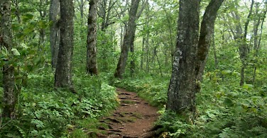 Hiking to Cape Split, Nova Scotia, Canada. Photo via Flickr: InAweofGod'sCreation