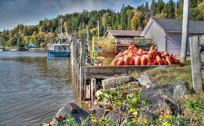 Lobster traps ready in Bay of Fundy, Nova Scotia, Canada. Flickr:maureen