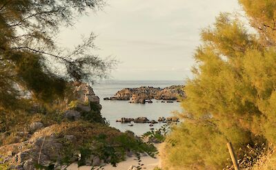 Coast of San Vicente de la Barquera viewed through trees, Spain. Unsplash:Victor Hugo