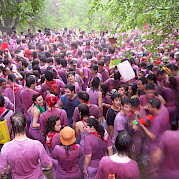 La Rioja - Land of Wine Photo