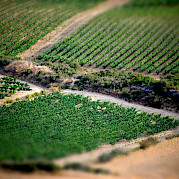 La Rioja - Land of Wine Photo