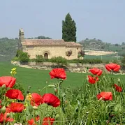 La Rioja - Land of Wine Photo