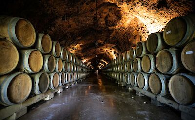 Wine cellar in Haro, Spain. Unsplash@Mario La Pergola