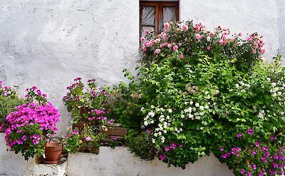 Alentejo, Portugal. Flickr:Jocelyn Erskine-Kellie
