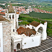 Viñedos de Alentejo Foto