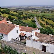 Alentejo Vineyards - Monsaraz, Portugal. Flickr:Jocelyn Erskine-Kellie 38.472084, -7.619019