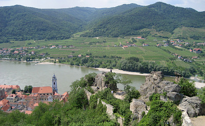 View from the Castle in Dürnstein overlooking the Wachau Valley with its vineyards. Flickr:Muppetspanker