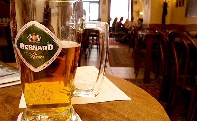 Bernard, the original Czech lager! Flickr:Megan Eaves
