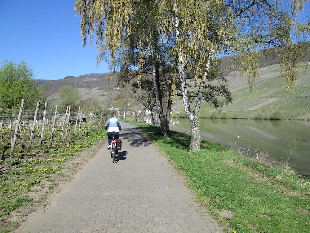 Bike path along the Mosel River