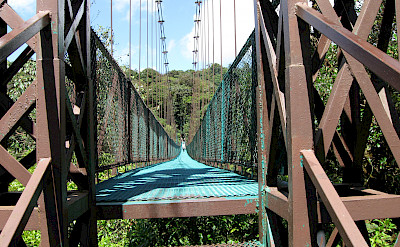 Bridge at Monteverde Cloud Forest Reserve, Costa Rica. Photo via Flickr:benet2006 
