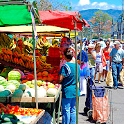 Costa Rica Bike Tour and Adventure Photo