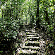 Costa Rica Bike Tour & Adventure Photo