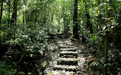 Monteverde Cloud Forest Reserve, Costa Rica. Photo via Flickr:Peter Hook 