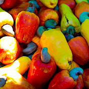 Costa Rica Bike Tour and Adventure Photo
