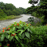 Costa Rica Passeio de Bicicleta e Aventura Foto
