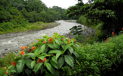 Sarapiqui River, Costa Rica. Photo via Flickr:m.prinke