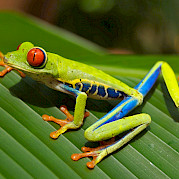 Costa Rica Photo