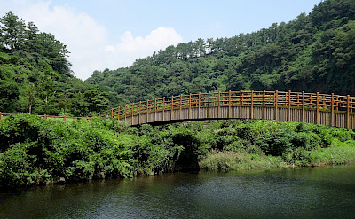 Bamboo Bridge in Jungmun, Jeju Island, South Korea. Photo via Flickr:Mandy