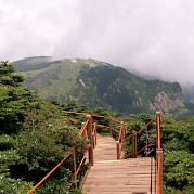 Damyang to Jeju Island Photo