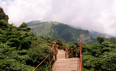 Hiking on Halla or Hallasan Mountain, Jeju Island, South Korea. Photo via Flickr:Sungsub Jang