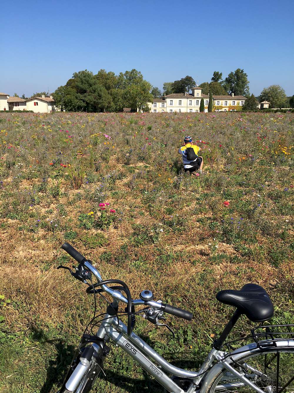 Field along bike path