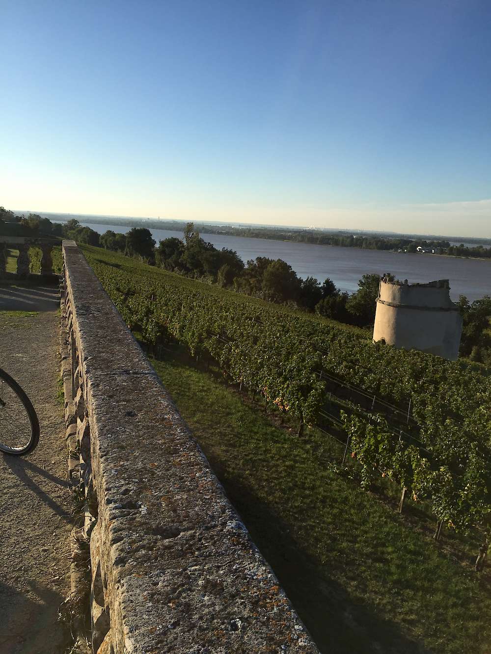 Near bayon sur gironde