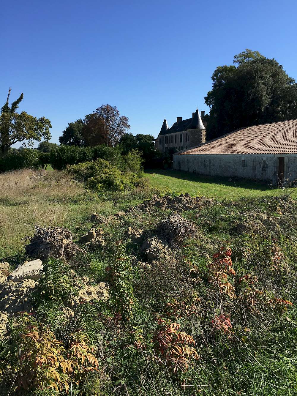 Winery near villeneuve