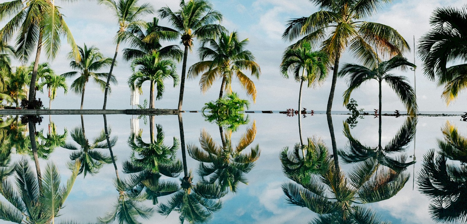 Reflections of palm trees, Flic en Flac, Mauritius. Unsplash@Dan Freeman
