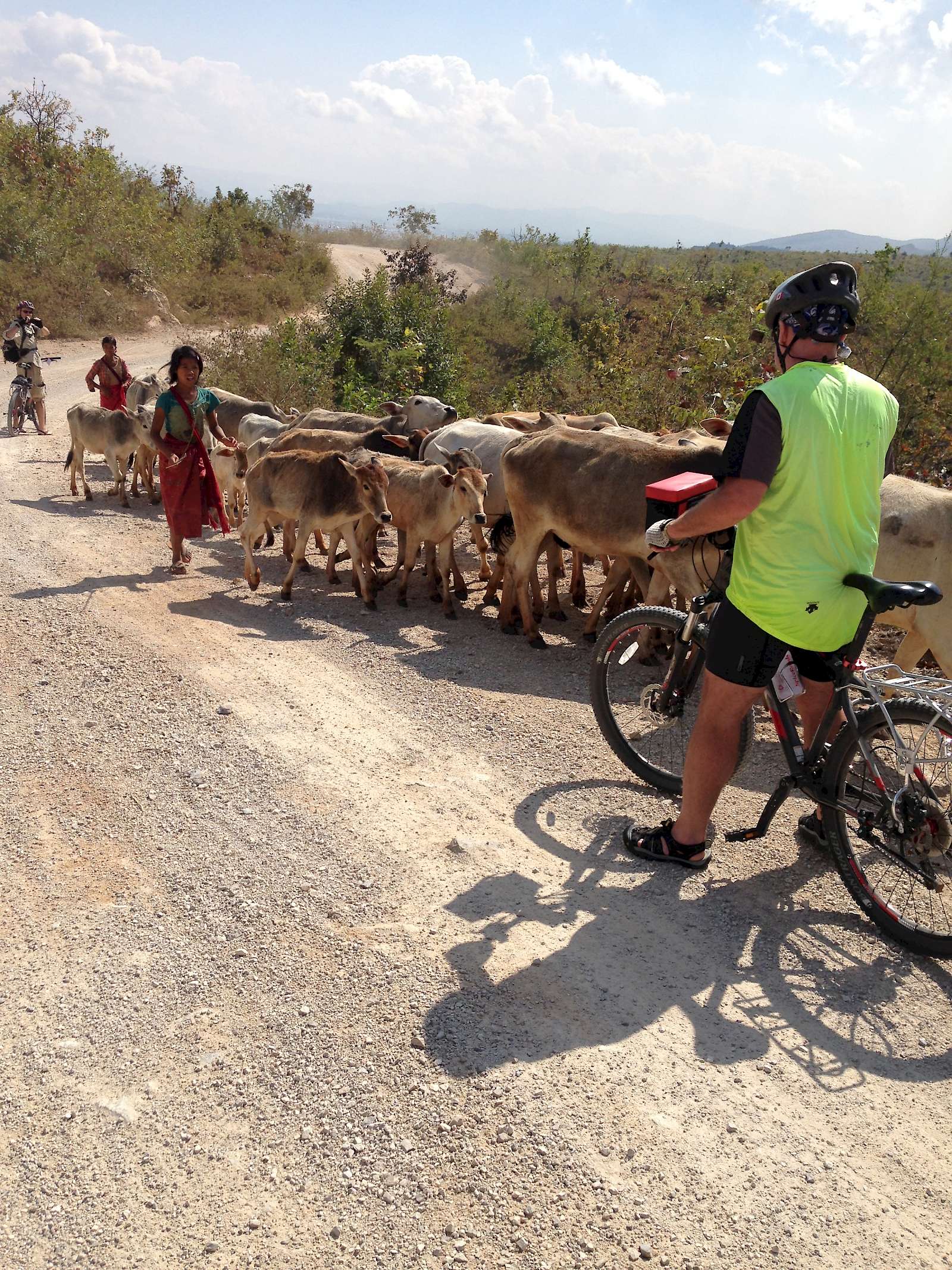 Road in Burma with local herders