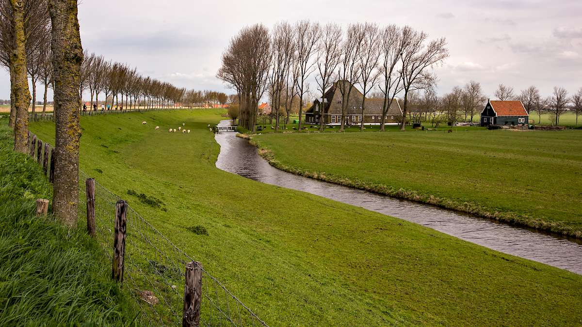 Cycling the beemster polder