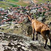 Macedonia Photo