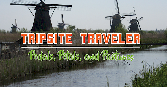 Tripsite Traveler: Pedals, Petals, and Pastimes with Peg Cass