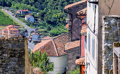 Scenic views in Motovun, Istria Peninsula, Croatia. Flickr:Arnie Papp
