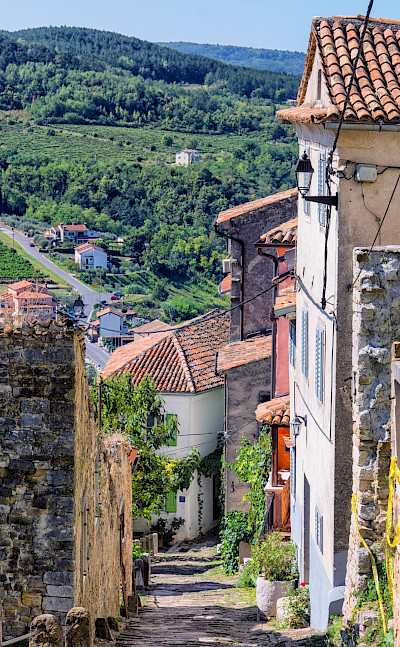 Scenic views in Motovun, Istria Peninsula, Croatia. Flickr:Arnie Papp