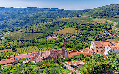 Vineyards surrounding Motovun on the Istria Peninsula, Croatia. Flickr:Arnie Papp