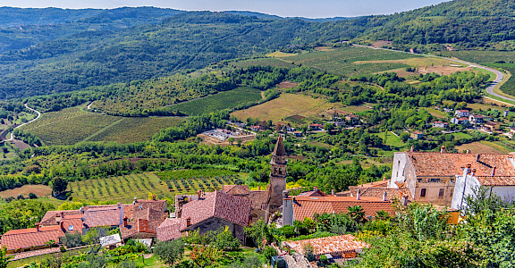 Vineyards surrounding Motovun on the Istria Peninsula, Croatia. Flickr:Arnie Papp 45.338826, 13.829641
