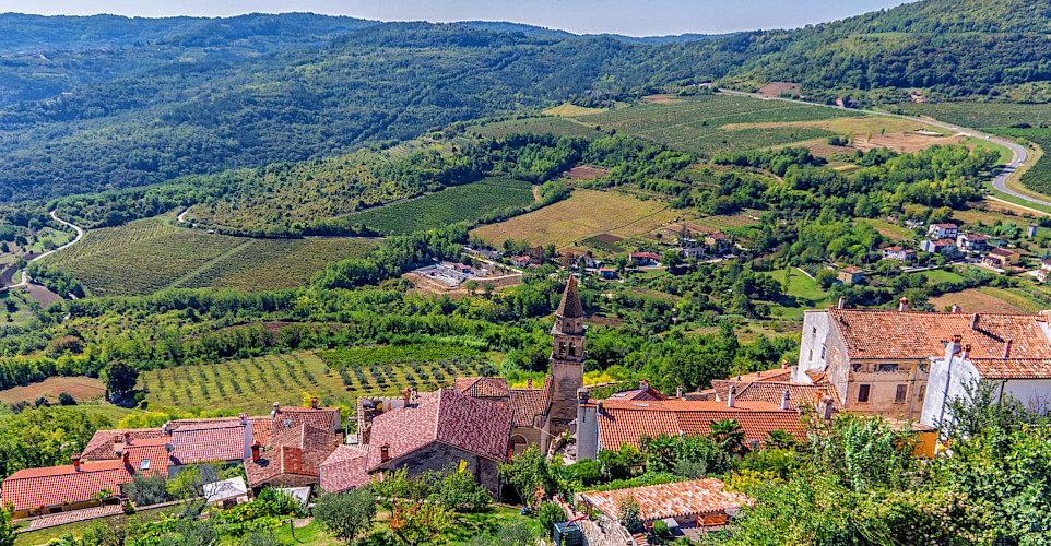 Vineyards surrounding Motovun on the Istria Peninsula, Croatia. Flickr:Arnie Papp