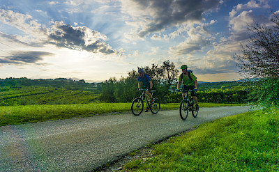 Biking past vineyards in Istria to the Adriatic through Italy, Slovenia and Croatia. Photo via TO.