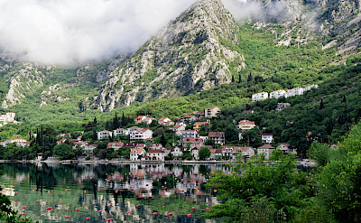 Dobrota on the Bay of Kotor in Montenegro. Flickr:Jocelyn Erskine-Kellie