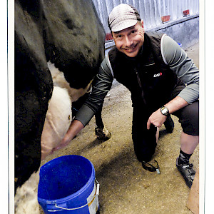 Kurt milking cow