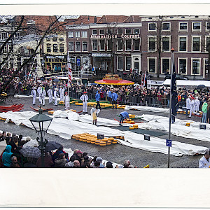 Alkmaar Cheese Action Crowd