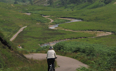 Scenic bike paths through Irish countryside. Photo courtesy of Tour Operator