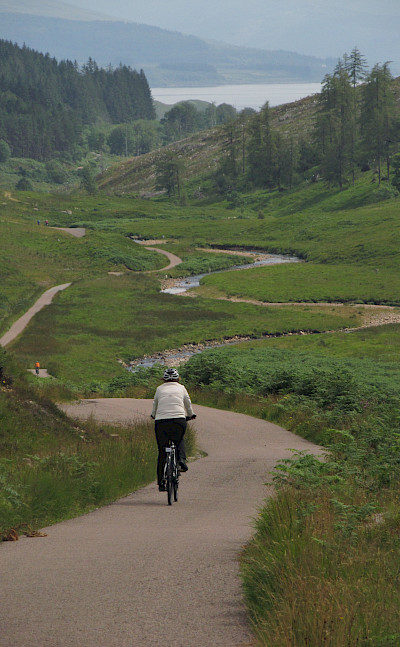 Scenic bike paths through Irish countryside. Photo courtesy of Tour Operator