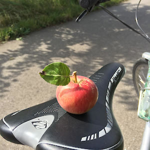 Apple on a bike
