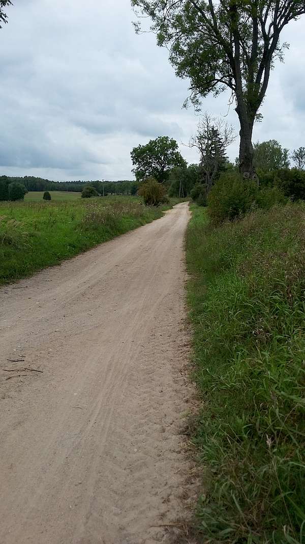 Typical terrain on the bike and boat tour in Poland