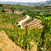 Douro Valley Wine and E-Bike Tour Photo
