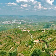 Douro Valley Wine and E-Bike Tour Photo