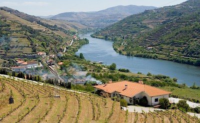 Douro Valley, Portugal. Flickr:Marco Variscosa